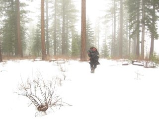2 seconds snow fall